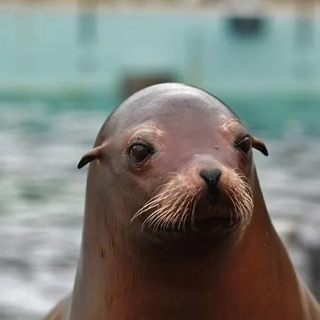 Dom wakacyjny Hyggehuset